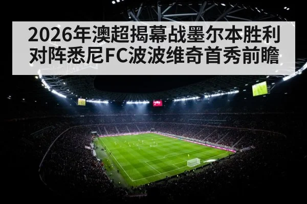 soccer stadium night floodlights crowd